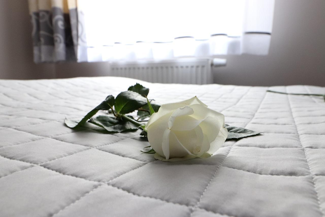 Apartamenty Bm'Kruk Stronie Śląskie Zewnętrze zdjęcie